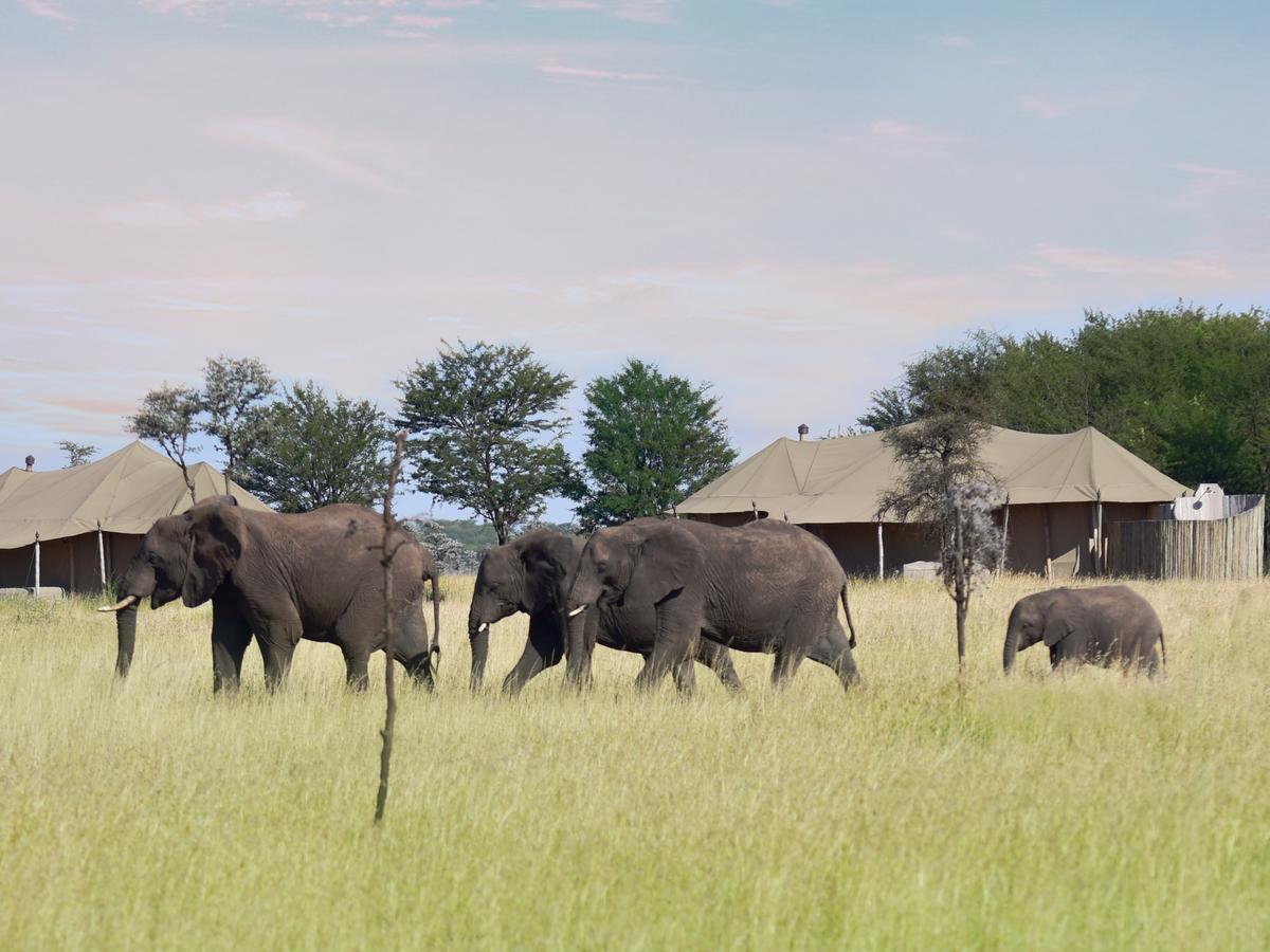 One Nature Nyaruswiga Serengeti Banagi Exterior foto
