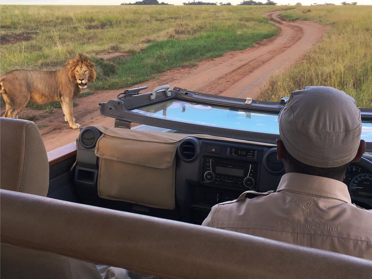 One Nature Nyaruswiga Serengeti Banagi Exterior foto